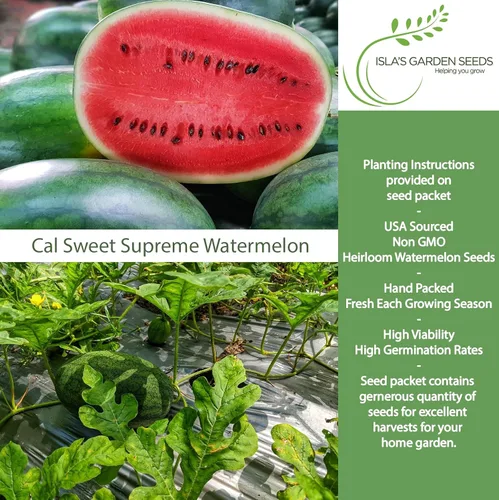 Vista 2 de Cal Sweet Supreme - Semillas de sandía (Citrullus lanatus, tipo Icebox) – Más de 125 semillas sin OMG y reliquias de Isla's Garden Seeds, carne roja