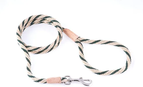 Vista 198 de Alvalley Correa para perros estilo broche – Correa de nailon estilo broche para perros – Fácil de manejar – Perfecto para perros pequeños, medianos