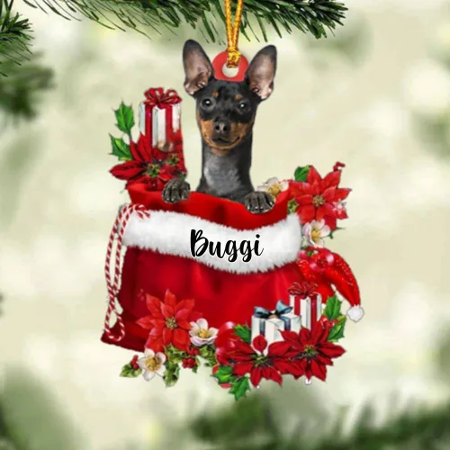 Vista 22 de Perro Akita Inu personalizado en bolsa de regalo, adorno de Navidad, nombre personalizado, regalo para amantes de los perros, familia, Navidad