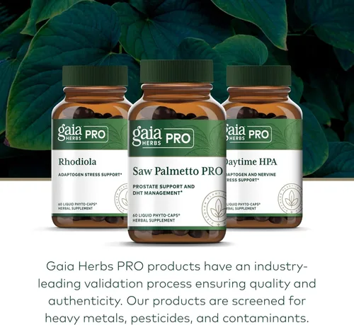 Vista 6 de GAIA HERBS PRO Saw Palmetto PRO - Suplemento saludable de apoyo para la glándula prostática* - Suplemento de hierbas con palma enana americana