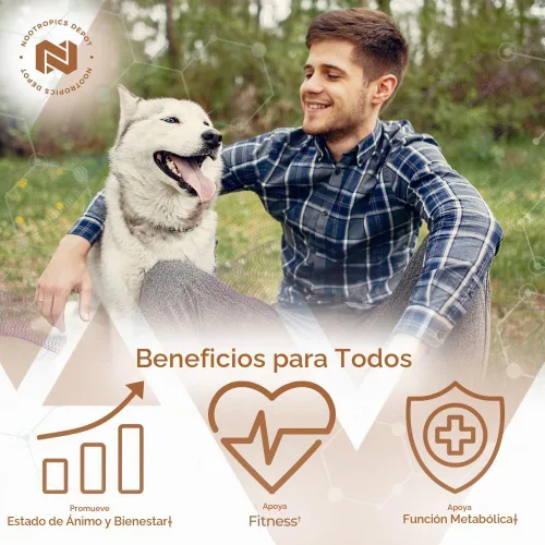 Vista 4 de Nootropics Depot Cápsulas de extracto de fenogreco 500 mg 60 ct 3% de trigonelina, 1% de protodioscina Trigonella foenum-graecum Estado