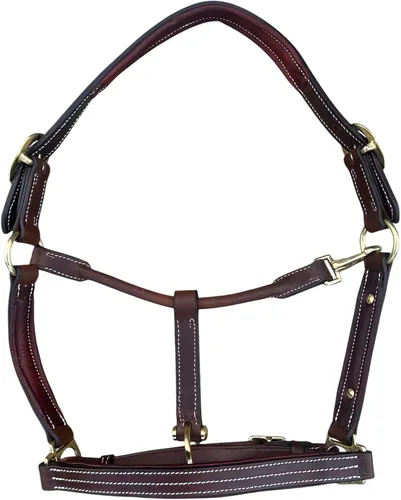 Vista 8 de Leaders - Cabestro acolchado de cuero para caballos con placa de nombre grabada personalizada con opción halter para caballo