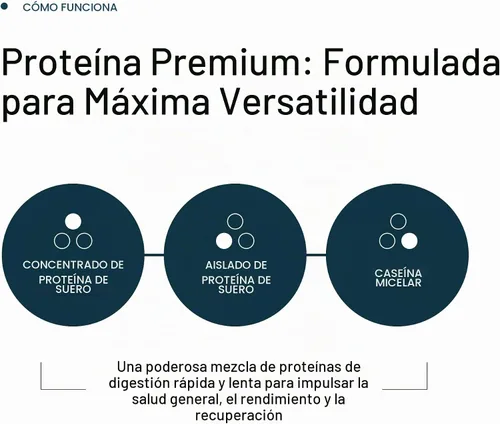 Vista 5 de Gainful Everyday Whey Protein en polvo, 0.81 oz de proteína, sin sabor, 14 porciones