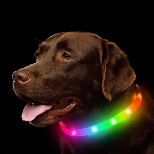 Vista 7 de Collar para perro LED multicolor, collar para perro recargable con 7 colores de luz intermitente, luces para perros que hacen que las mascotas sean