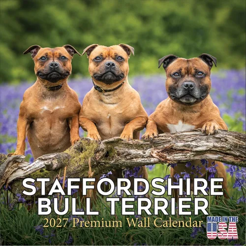 Vista 208 de Calendario de Lebrel Afgano 2025 2026, calendario mensual de pared de raza canina, 12" x 18" abierto, papel grueso sin traspaso, ideal para regalo