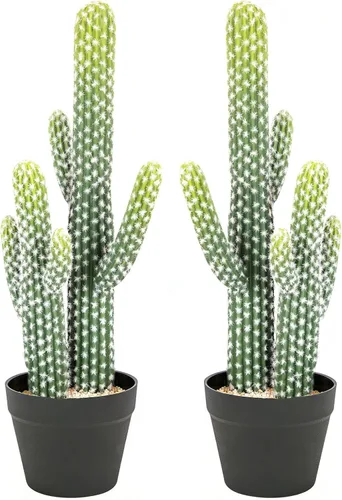 Vista 8 de bellacat Cactus artificial grande resistente a los rayos UV de 5 pies (60 pulgadas) con maceta negra, plantas artificiales realistas para Negro
