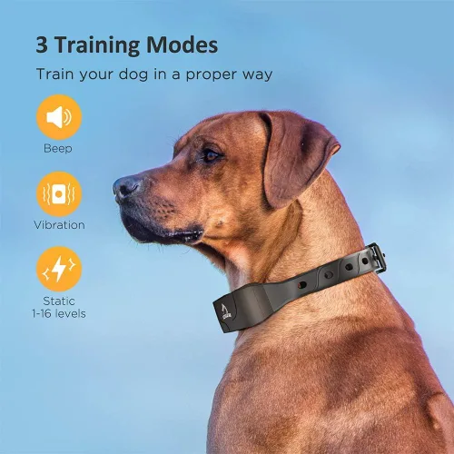 Vista 2 de PATPET Collar de entrenamiento para perros grandes – IPX7 impermeable E collar para perros con pitido, vibración y modos estáticos