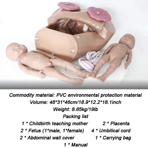 Vista 2 de Modelo de pelvis de demostración de parto, simulador de parto de tamaño real modelo anatómico pélvico de entrega molde de enseñanza de maternidad
