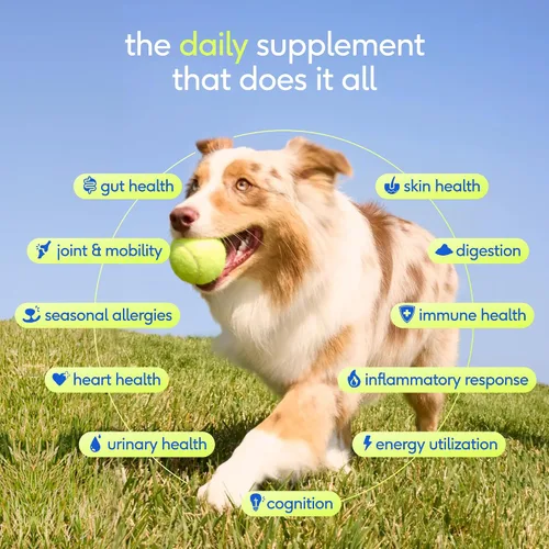 Vista 2 de Native Pet Vitaminas y Suplementos para Perros - Polvo de Vitaminas 11-en-1 para Complemento de Comida de Perro - Colágeno, Glucosamina