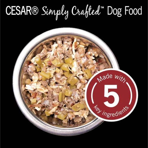 Vista 7 de Cesar, comida húmeda para perros de fabricación simple, 37 g. Empaque de 10 unidades.