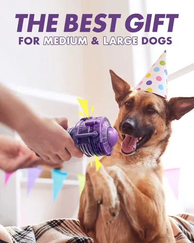 Vista 4 de FifthQuarter Juguetes chirriantes para perros: juguetes para perros casi indestructibles para masticadores agresivos, goma natural, juguetes