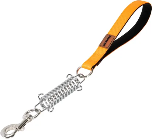 Vista 12 de Correa de perro resistente, correa de metal a prueba de mordidas para perros grandes (hasta 250 libras), correas de perro de cuerda de alambre de 5