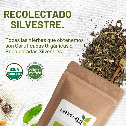 Vista 4 de Poleo - Mexican Penny Royal 8 oz. - Bolsa de pie resellable para garantizar la frescura
