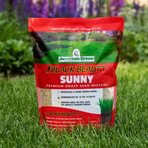Vista 3 de Jonathan Green (10895) Black Beauty Sunny Grass Seed - Semilla de césped de temporada fría (1 libra)