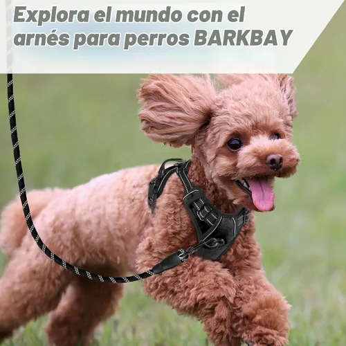 Vista 8 de BARKBAY Arnés sin tirones para perro, clip frontal, resistente, reflectante, mango de fácil control para pasear perros grandes (negro, XS)