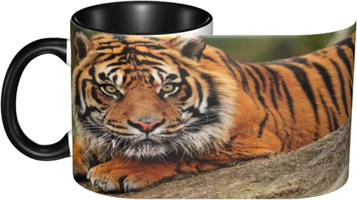 Vista 4 de Taza de café, taza personalizada de tigre, tigre agachado en la roca hermosa foto de la naturaleza, 11 onzas, para bebidas calientes y todos
