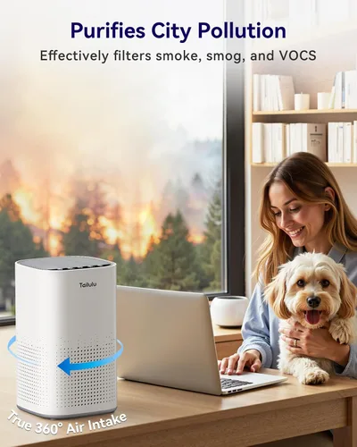 Vista 6 de Purificadores de aire para el hogar, habitación grande de hasta 1500 pies cuadrados, purificador de aire Tailulu H13 True HEPA para mascotas, polvo