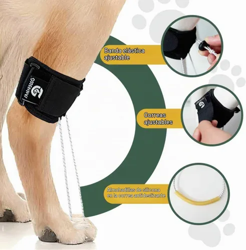 Vista 3 de Soporte de pierna trasera para perro