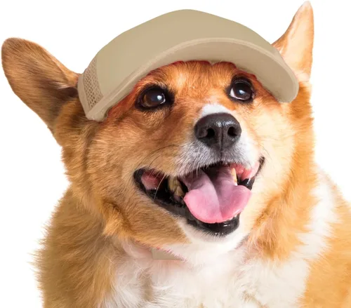 Vista 47 de DIY PupLid Trucker Hats (negro/blanco, XXS) - Sombrero de perro personalizable, lona en blanco para diseño personalizado, ajustable, protección