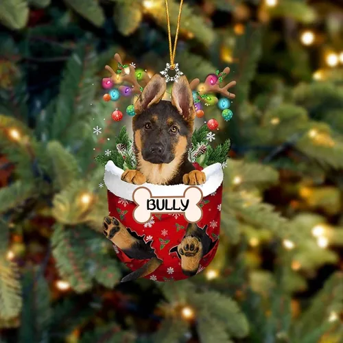 Vista 228 de IZI POD Affenpinscher Adorno de Navidad personalizado para perro, adorno de bolsillo de nieve para perro para árbol de Navidad, adorno acrílico