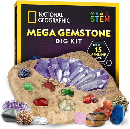 Vista 8 de Kit de excavación de piedras de nacimiento National Geographic - Kit de ciencia con 12 piedras de nacimiento genuinas, incluye un diamante real