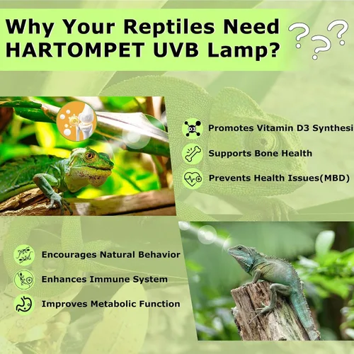 Vista 7 de HARTOMPET 5.0 UVB - Luz de reptil de 13 W, bombilla UVB compacta de bobina tropical, lámpara fluorescente UVA para camaleones, lagartos, tortugas