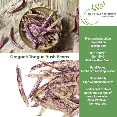 Vista 2 de Semillas de frijol Dragon's Tongue Bush (Dragon Langerie) – Más de 25 semillas sin OMG y reliquias, Phaseolus vulgaris, cápsulas de crema coloridas