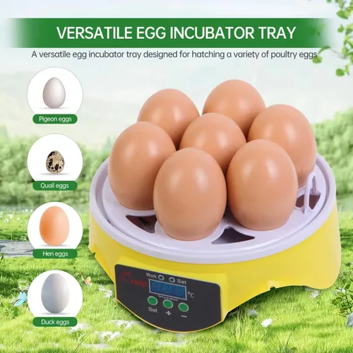 Vista 6 de 360° View Incubadora de aves de corral de 7 huevos para incubar huevos de pollo, pato, ganso, loro y codorniz, con control de temperatura