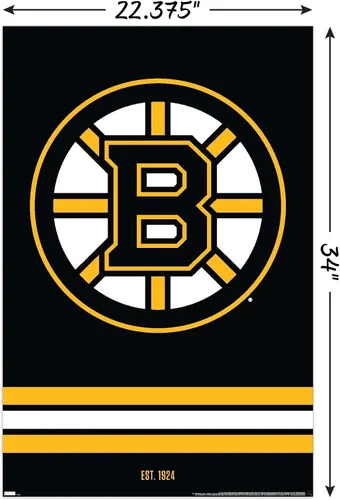 Vista 3 de Trends International NHL Boston Bruins - Póster de pared con logotipo 21, 22.375 x 34 pulgadas, versión sin marco