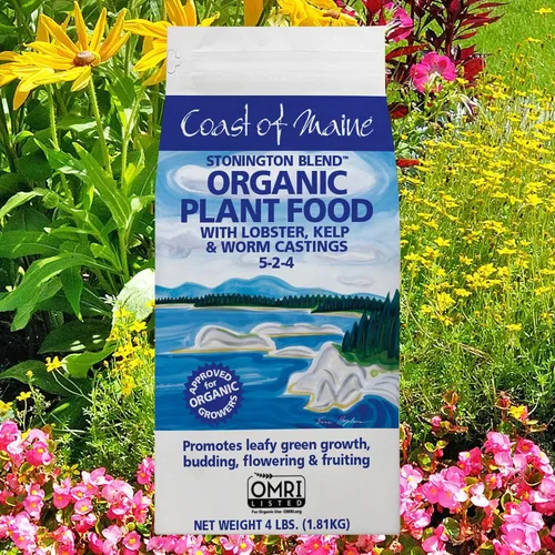 Vista 2 de Coast of Maine Stonington Blend - Alimento orgánico para plantas, 4 libras