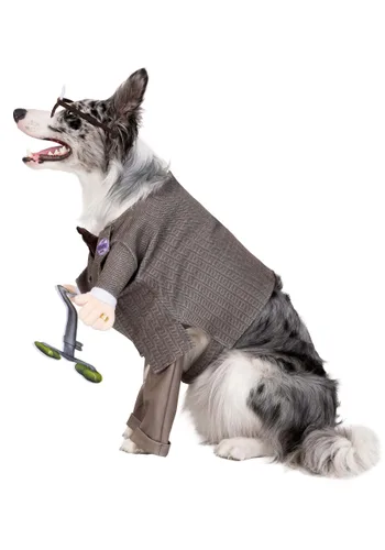 Vista 2 de Disfraz Disney Pixar Carl de Up para Perro Multicolor