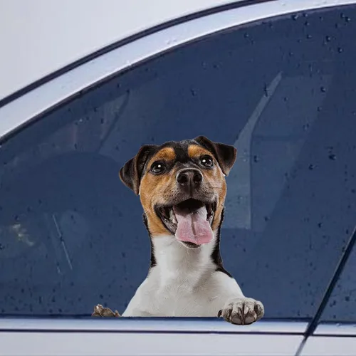 Vista 13 de Calcomanías de perro caniche, divertidas calcomanías de vinilo troqueladas para automóvil, laptop, parachoques Estilo-37