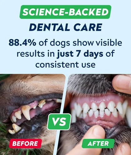 Vista 4 de STRELLALAB Avanzados masticables dentales y ambientadores de aliento para perros, golosinas de limpieza de dientes de perro, control de mal aliento