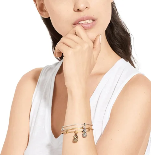 Vista 3 de Alex and Ani Path of Symbols Expandable Bangle for Women, Pineapple Charm, Rafaelian Finish, 2 to 3.5 in
