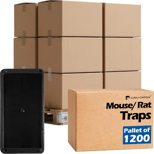 Vista 21 de LULUCATCH, trampas para ratones, 6 unidades de trampas grandes de pegamento para interiores para el hogar, tablas de pegamento a granel pre-cebadas