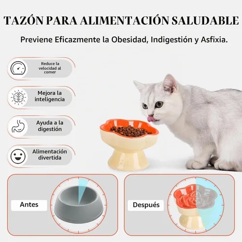Vista 3 de S&Q's CERAMICS Tazón de Alimentación Lenta Elevado para Gatos, Tazón de Comida de Cerámica y Vidrio para Perros Pequeños de Alimentación Lenta