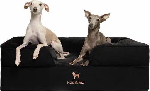 Vista 22 de NOAH & PAW Cama para perros pequeños, 20 x 15 x 8 pulgadas, cama para gatos de interior, espuma viscoelástica ortopédica de cáscara de huevo