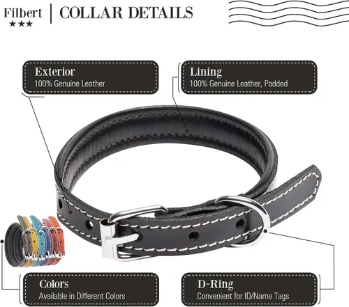 Vista 4 de Filbert Collar de cuero para perro, collar de cuero genuino para perros pequeños, acolchado de lujo, fuerte, ajustable para todas las razas, hebilla