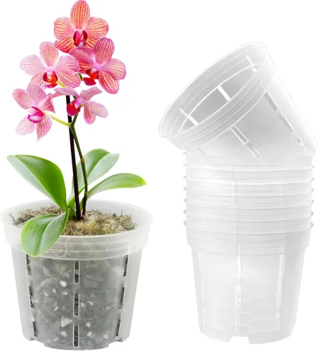 Vista 13 de Juego de 6 macetas de orquídea de 14 cm, macetas de orquídea para trasplante, macetas de orquídea transparentes de plástico con agujeros, maceta