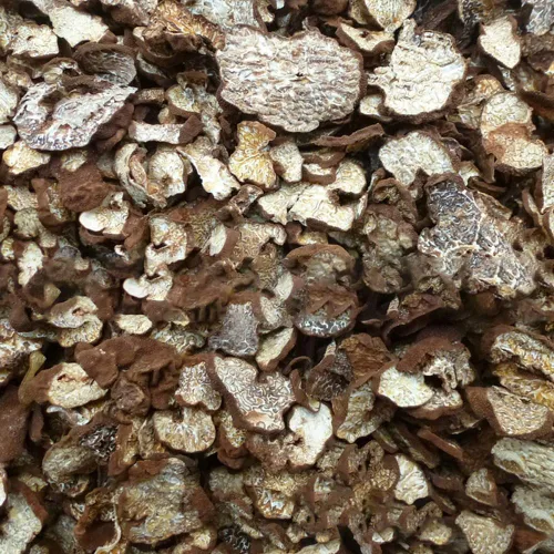 Vista 3 de 100% trufa negra orgánica silvestre, hongo de trufa, trufa, trufa negra, trufa de perigordo, trufa negra, trufa negra, melanosporo tubérculo, trufa