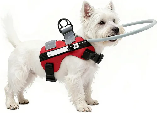 Vista 8 de GabeFish Arnés de anillo para perro ciego, anillo ciego ligero para mascotas, protector de golpes para perros ciegos, azul, pequeño