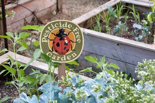 Vista 3 de Pesticide Free Garden Sign