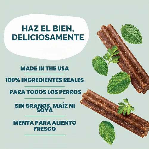 Vista 3 de Shameless Pets Mighty Mint Minis - Masticables dentales para perros, golosinas saludables para limpieza de dientes y aliento fresco, sin granos