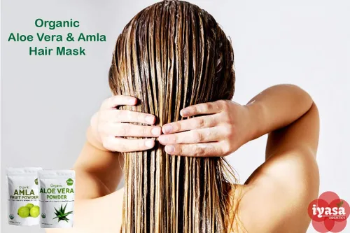 Vista 8 de Iyasa Holistics Aloe Vera orgánico en polvo de 8 onzas – Aloe Barbadensis hoja entera – Certificado USDA finamente molido, fórmula fácil de mezclar