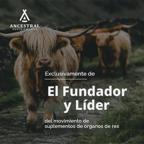 Vista 3 de Ancestral Supplements Cápsulas para intestinos de ternera, soporte