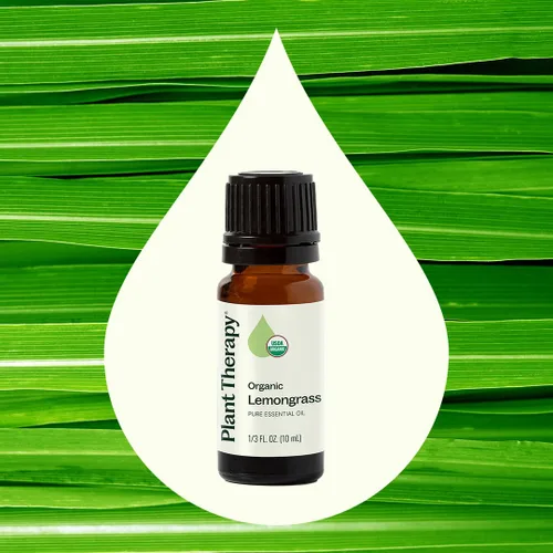 Vista 3 de Plant Therapy Aceite esencial de citronela orgánica 0.3 fl oz (1/3 oz), 100% puro, certificado por USDA, sin diluir, aromaterapia, desodorizante