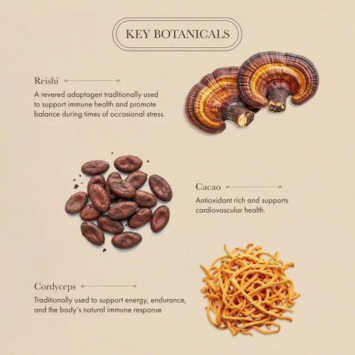 Vista 4 de Anima Mundi Apothecary Suplemento orgánico de hongos – hongos adaptogénicos + cacao – Polvo estimulante con melena de león orgánica, shiitake, chaga