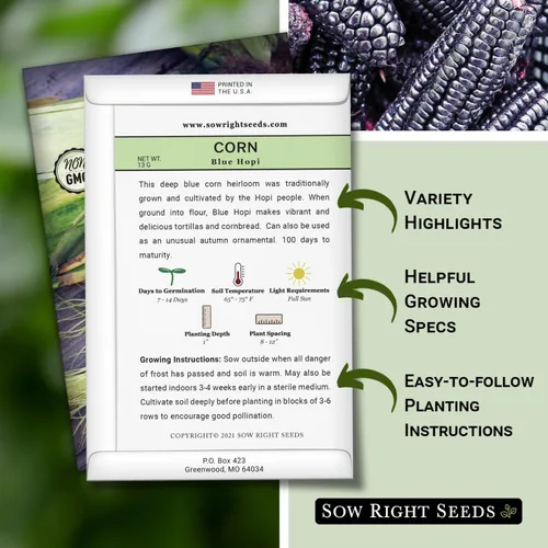 Vista 2 de Sow Right Seeds - Semilla de Maíz Azul Hopi para plantar - Paquete de reliquia sin OMG con instrucciones para plantar y cultivar un jardín