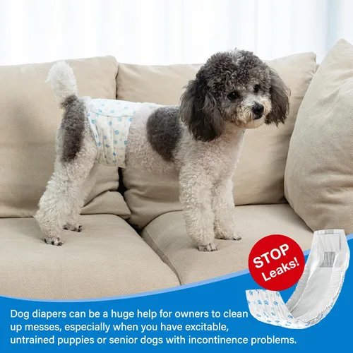 Vista 7 de Pañales Pet Soft para perro, desechables, para perros macho, xs