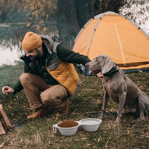 Vista 2 de SLSON Cuencos plegables para perros, cuenco doble integrado para perro, sin borde de plástico, 2 en 1, plegable para comida y agua para mascotas